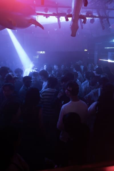 Noche Sauvage - Start of Summer - Foto 6
